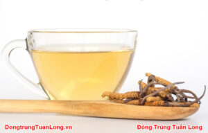 Cách Pha Trà đông Trùng Hạ Thảo để Giữ Nguyên Dược Tính