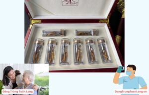 Đối tượng nào nên sử dụng Đông trùng hạ thảo