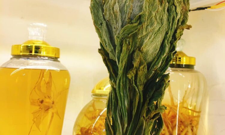 Thiên Sơn Tuyết Liên Hàng Tây Tạng – Dược Liệu Quý Từ Núi Tuyết