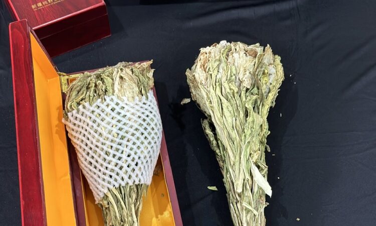 Thiên Sơn Tuyết Liên Hàng Tây Tạng – Dược Liệu Quý Từ Núi Tuyết