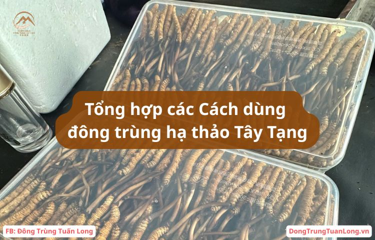 Tổng Hợp Các Cách Dùng đông Trùng Hạ Thảo Tây Tạng